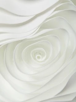 Chiara Boni La Petite Robe Morny Rosette Peplum Gown -Chiara Boni La Petite Robe Sales Shop unnamed file 852